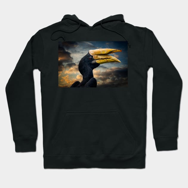 Rhinoceros Hornbill Hoodie by Adrian Evans Photography